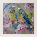 Search for budgie puzzles Bird
