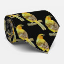 Search for oriole ties Wildlife