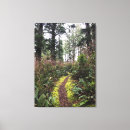 Search for loop art Forest