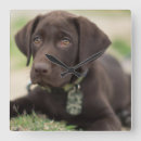 Search for chocolate lab art Dog