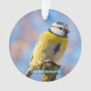 Search for blue bird christmas tree decorations Cute