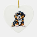 Search for bernese mountain dog christmas tree decorations Puppy