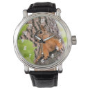 Search for bashful accessories Animal