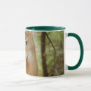 Search for whitetail mugs Fawn