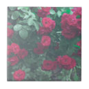 Search for red flower tiles Nature