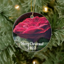 Search for red and green christmas tree decorations Abstract