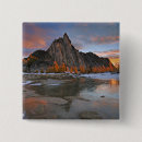 Search for alpine badges Scenic