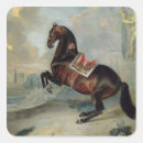 Search for bay horse stickers Equestrian