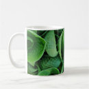 Search for hosta mugs Plant