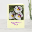 Search for mother in law mothers day cards Yellow