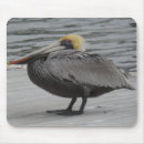 Search for florida birds mousepads Animal