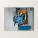 Search for breast puzzles Bird
