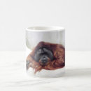 Search for primate mugs Wildlife