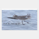 Search for seagull stickers Beach