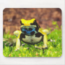 Search for poison mousepads Amphibian