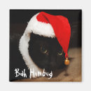 Search for bah magnets Cat