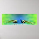 Search for peacock home decor posters Birds