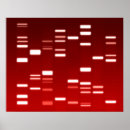 Search for genetics genes posters Science