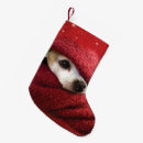 Search for chihuahua christmas stockings Cute