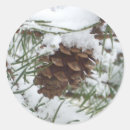 Search for pine cones stickers Winter