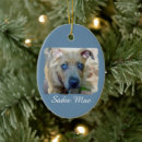 Search for brindle christmas tree decorations Puppy