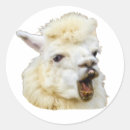 Search for laughing face stickers Funny