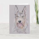 Search for picard postcards Puppy