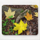 Search for autumn mousepads Leaves