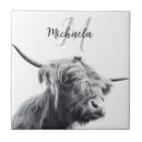 Search for scotland highlands tiles Cow