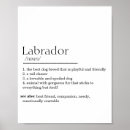 Search for funny lab posters Labrador