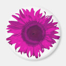 Search for fuchsia magnets Cute
