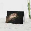 Search for greeting other Otter