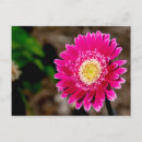 Search for closeup invitations Nature
