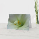 Search for lily easter cards Nature
