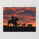 Search for horse riding postcards Rustic