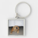 Search for yellow lab key rings Humour