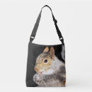 Search for nut with squirrel bags Nature