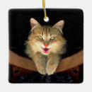 Search for mad christmas tree decorations Cute