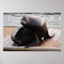Search for cruising art Cute