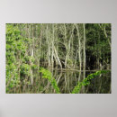 Search for mississippi river posters Water