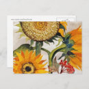 Search for yellow sunflowers postcards Garden