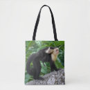 Search for mommys monkey bags Ape
