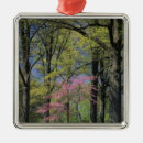 Search for kentucky christmas tree decorations Environment