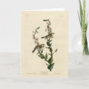 Search for chestnut cards Colour