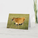 Search for cattle christmas cards Cow