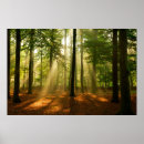 Search for forest path art Autumn