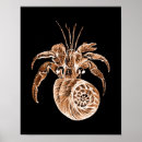 Search for nautical posters Fish