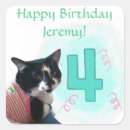 Search for cat stickers Tuxedo