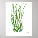 Search for sea life posters Watercolor