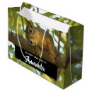 Search for squirrel pictures gift wrap Cute